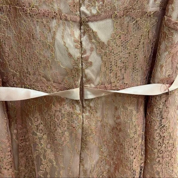 Ann Taylor Pink Lace Sheath Ribbon Dress - Picture 6 of 9